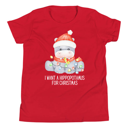 Hippopotamus For Christmas Youth Short Sleeve T-Shirt